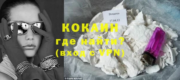 индика Кулебаки