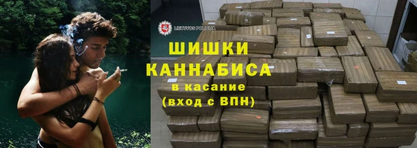 индика Кулебаки
