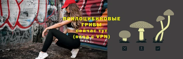 индика Кулебаки