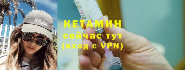 индика Кулебаки