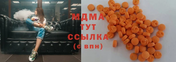 индика Кулебаки