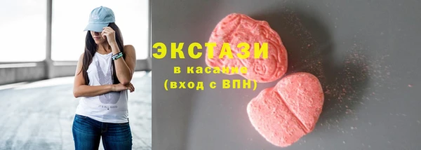 индика Кулебаки