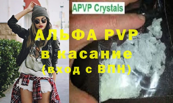 индика Кулебаки
