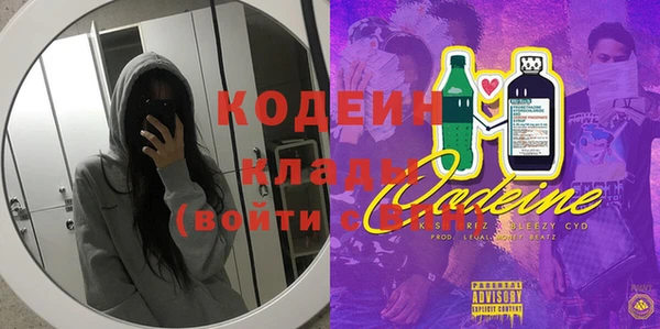 индика Кулебаки