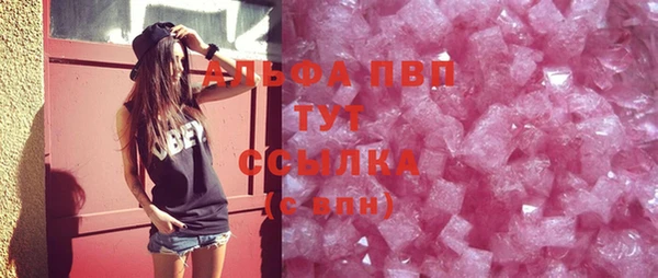 индика Кулебаки