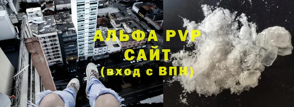 индика Кулебаки