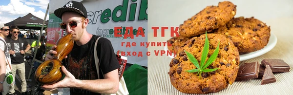 индика Кулебаки