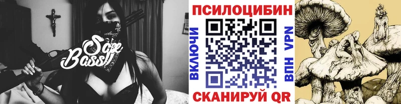 как найти закладки Тимашёвск Галлюциногенные грибы Cubensis